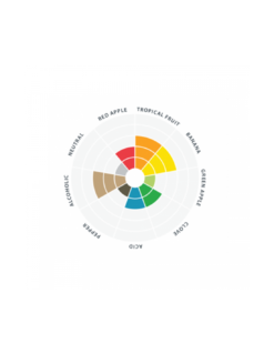 Abbaye™ LalBrew LALLEMAND - 11gr -Brassage Soldes abbaye lalbrew lallemand 11gr 1