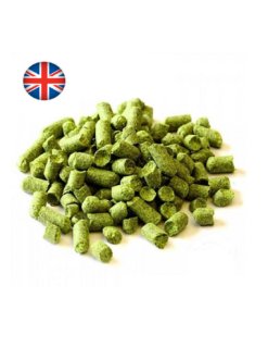 Archer® (UK) -Brassage Soldes archer uk 1