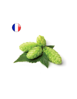 Challenger En Cône (FR) 2024 - 250 Gr -Brassage Soldes challenger en cone fr 2024 250 gr 1