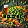 Eclipse® (AU) -Brassage Soldes eclipse au