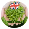 First Gold (UK) -Brassage Soldes first gold uk