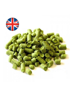 Flyer (UK) -Brassage Soldes flyer uk 1