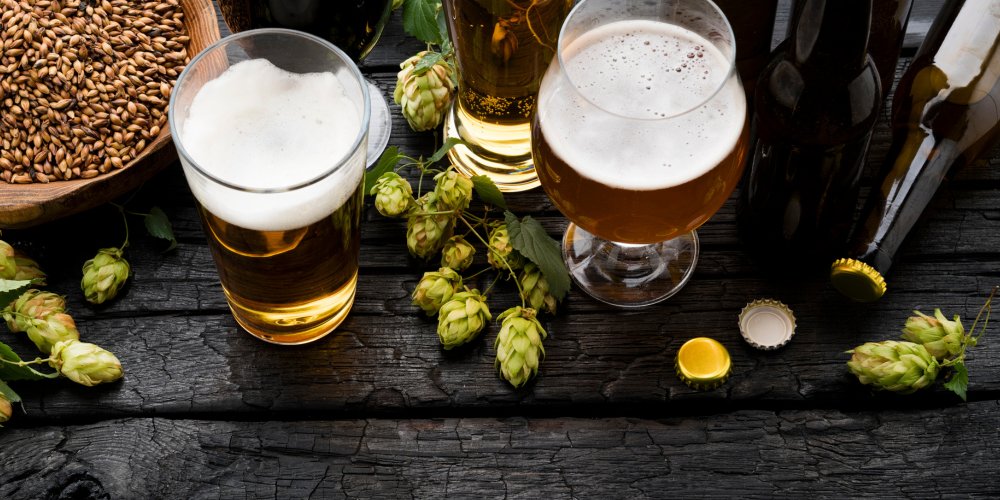 Brassage Soldes -Brassage Soldes guide achat kit brassage biere