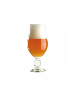 Kit à Bière BREWFERM Wheat Tripel 9 L -Brassage Soldes kit a biere brewferm wheat tripel 9 l 1