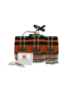 Kit Démarrage Mini-fûts Brewferm® Avec Party Star Deluxe