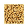 Malt Acide 6-12 EBC -Brassage Soldes malt acide 6 12 ebc