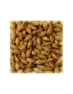 Malt Biscuit® 50 EBC