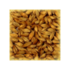 Malt Cara Arôme® 80-100 EBC