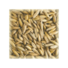 Malt Avoine (Oat) 2-3 EBC -Brassage Soldes malt oat avoine 2 3 ebc