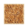 Malt épeautre (Spelt) 3-7 EBC