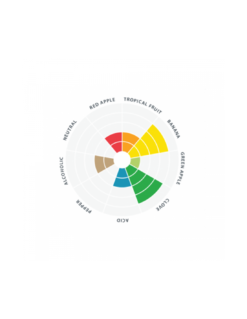 Munich Classic™ LALLEMAND - 11gr -Brassage Soldes munich classic lallemand 11gr 1