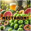 Nectaron® (NZ) -Brassage Soldes nectaron nz