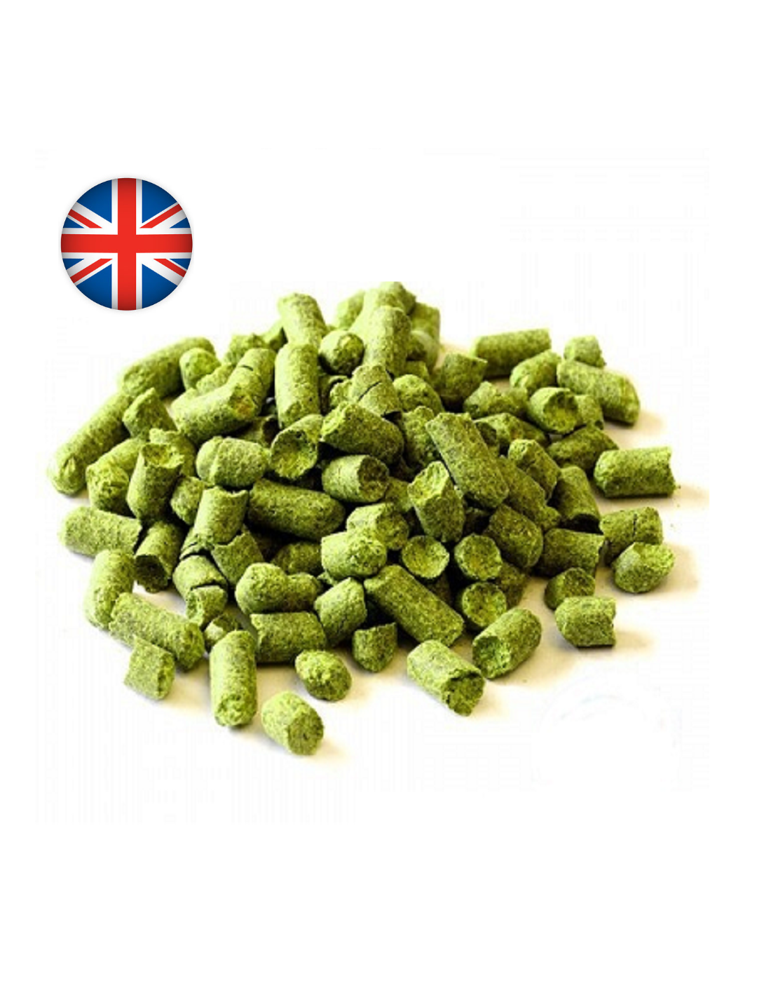 Pilgrim (UK) 4 Pilgrim (UK) – Image 2