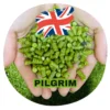 Pilgrim (UK) 1 Pilgrim (UK) -Brassage Soldes pilgrim uk