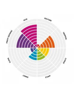 Pinnacle Levure De Bière Sèche Crisp Sour 11,5 Gr -Brassage Soldes pinnacle levure de biere seche crisp sour 115 gr 1