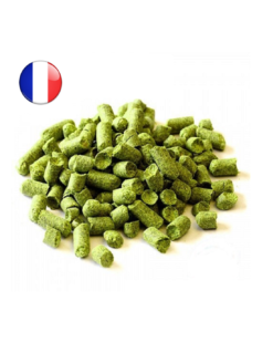 Savinjski Golding (FR) -Brassage Soldes savinjski golding fr 1