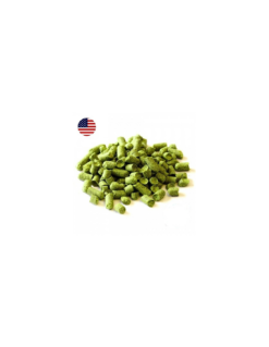 Sorachi Ace (US) -Brassage Soldes sorachi ace us 1