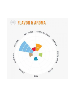 Voss Kveik Ale Premium LalBrew® - 11gr -Brassage Soldes voss kveik ale premium lalbrew 11gr 1