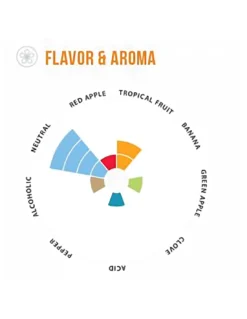 Voss™ Kveik LalBrew Lallemand - 500gr -Brassage Soldes voss kveik lalbrew lallemand 500gr 1