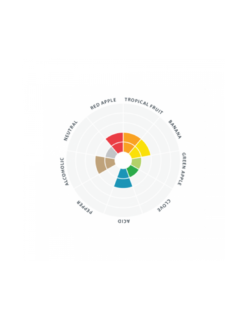 Wit™ LalBrew LALLEMAND - 11gr -Brassage Soldes wit lalbrew lallemand 11gr 2